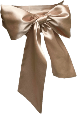 LORDRIE Women Satin Sash Belts For Bridal Bridesmaid Dresses Girls Waist Belts For Special Occasion (Champagne) at Amazon Women’s Clothing store