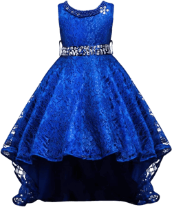 Flower Girls Vintage Overlay Lace Beaded Rhinestone Wedding Tulle Dresses Maxi High Low Gown Dance Tutus