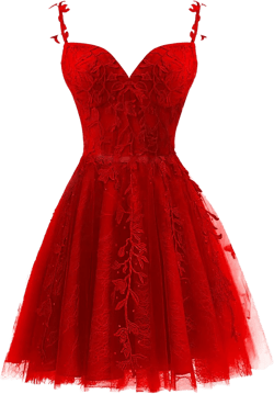 GARDOM Sweetheart Embroidery Homecoming Dresses Lace Short Prom Dresses for Teens Cocktail Dress Tulle Ball Gowns 2024 12 Red