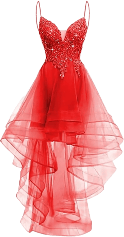 Lace Applique Homecoming Dresses for Teens 2025 High Low Spaghetti Straps Tulle Short Prom Dress Glitter Quinceanera Dress 8 Red