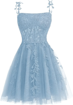 RSOETOO Sparkly Spaghetti Straps Homecoming Dresses for Teens Lace Mini Prom Dresses RO160 18 Plus Light Blue