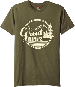 Hanes Men’s Short Sleeve Graphic T-shirt Collection