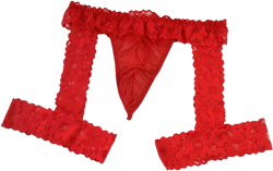 Men's Panties Lingerie Lace Low Rise Stretchy G-String Bikini Thong Underwear with Garter One Size Red
