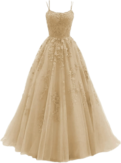 Tulle Spaghetti Straps Prom Dresses Long Ball Gowns for Women Formal Lace Appliques Evening Dresses