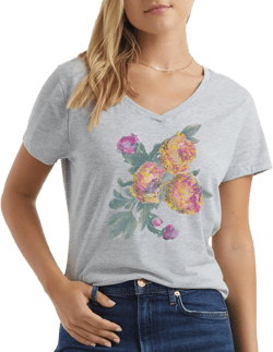 Hanes Womens Short Sleeve Graphic V-neck Tee Fashion-t-shirts, Multicolor, Large US