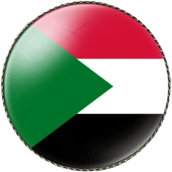 vmcoatdu Round 1 Inch Sudan Sultan Flag Pin International Travel Brooch Metal and Glass Revivalism Style Souvenir Badge for Hat Clothes Backpack