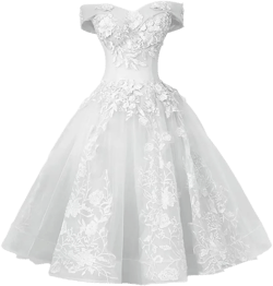 LVSEJIAYI Women's Tulle Lace Appliques Prom Dress Off The Shoulder Mini Dress Short Dresses Cocktail Dresses for Teens : Clothing, Shoes & Jewelry