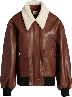 Shellar Jacket in Classic Brown Leather