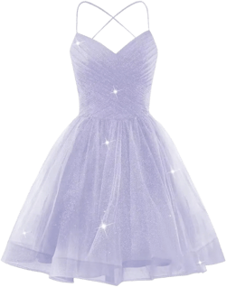 Sparkly Tulle Homecoming Dresses 2024 Short Prom Dresses Straps A Line Mini Dance Party Dresses Lavender 00