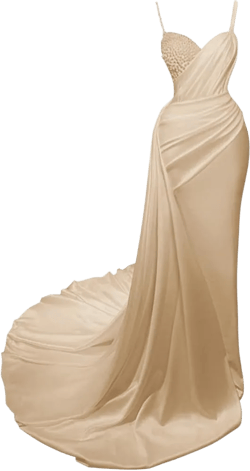 Jorshiman Women's Prom Dress 2024 Beaded Formal Dress Pleated Maxi Dresses Long Evening Gown for Wedding 16 Champange
