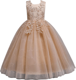 Flowers Little Girls Tulle Lace Wedding Party Dress for Kids Formal Birthday Princess Shirt Dress for Toddler Girls 2-3T Beige