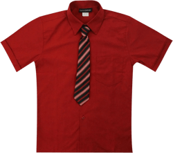 Luca Gabriel Toddler Boy's Short Sleeve Formal Button Down Dress Shirt & Tie Set 5 Red