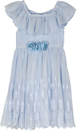 rose-detailing lace dress