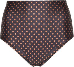 Reyes polka-dot bikini bottoms
