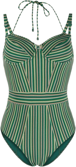 Holi Vintage striped padded swimsuit