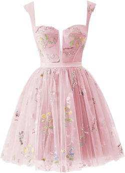 Wchecalino Women's Short Homecoming Dresses 2025 Flower Embroidery Tulle Prom Dress Formal Party Gown Pink 4