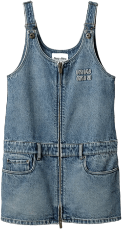 denim mini dress 