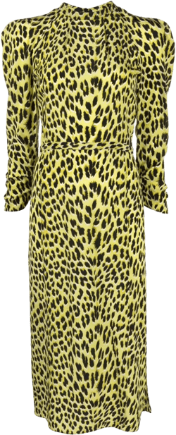 Racyl leopard-print silk midi dress