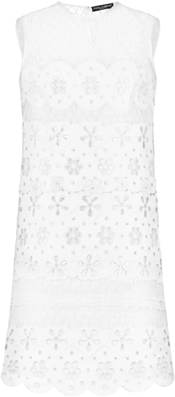 embroidered mesh minidress