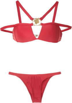 metallic embellishment bikini set