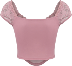Lace V-neck Solid Crop Top