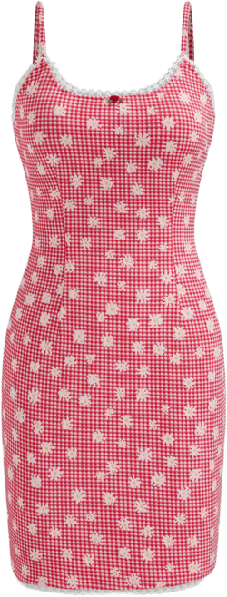 Scoop Neckline Check Floral Bowknot Mini Dress