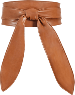 WHIPPY Women Obi Belt Fashion Wrap Around Wide Waistband Knotted Belt for Dress 2-brown Fits Waist Size 29"-38"