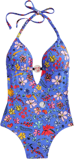 Dauphinette X J.Crew plunge one-piece swimsuit in cornucopia floral - BLUE