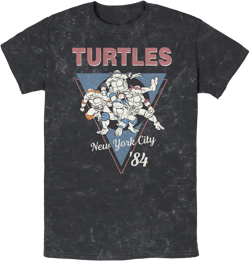Men's Teenage Mutant Ninja Turtles Vintage Group Triangle  Graphic Tee Black Large