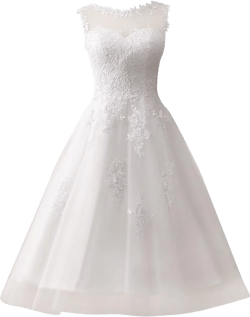 Women's Short A-Line Lace Wedding Dresses for Bride Plus Size Tea Length Tulle Sleeveless Bride Gowns 20 Plus Ivory