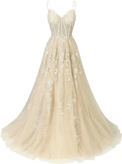 Women's Lace Applique Tulle Prom Dresses A Line Long Pleated 2025 Formal Evening Party Gowns with Slit 8 Champagne
