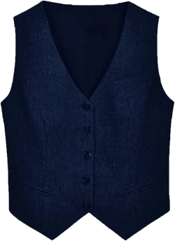 Womens Herringbone Tweed Sleeveless Single Breasted Waistcoat Casual Office Wear Vest Jacket XX-Large Royal Blue