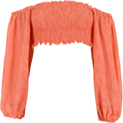 cropped off-shoulder blouse