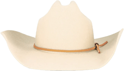 El Paso Reserve Cowboy Hat Brixton