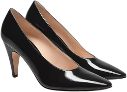 Gianvito Rossi Women's Amelia Pumps