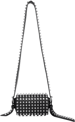 Alexander Wang Ricco Mini Leather Crossbody Bag 