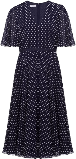 HOBBS LONDON Celia Printed Dress