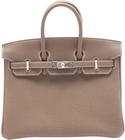 2023 Birkin 25 handbag 