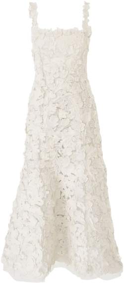 embroidered midi dress