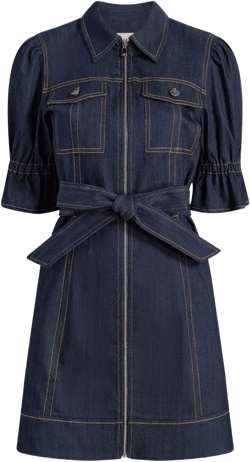 denim Holly dress