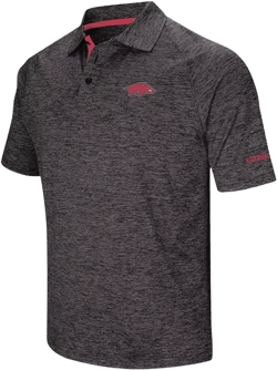 Men's Black Arkansas Razorbacks Big and Tall Down Swing Polo Shirt