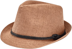 Men's Paper Straw Vintage-Inspired Fedora Hat 