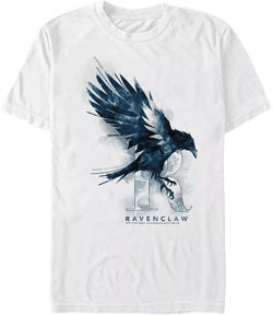 Harry Potter Men's Ravenclaw Mystic Wash Short Sleeve T-Shirt