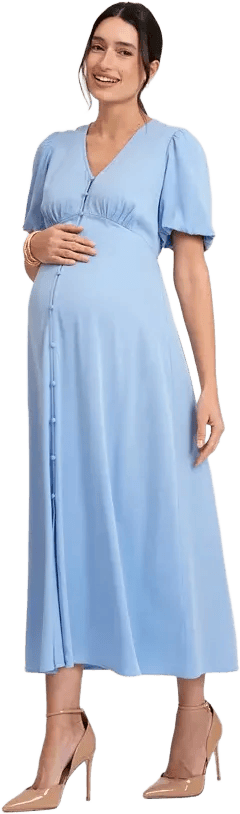 Seraphine Women's Maternity Button Through V-Neck Dress