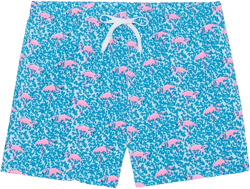 Men's The Domingos Are For Flamingos Quick-Dry 5-1/2" Swim Trunks