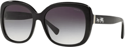 Sunglasses, HC8158