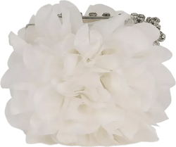 Woman's Natasha Floral Lift Clasp Box Clutch