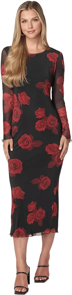 Women's Long Sleeve Printed Powermesh Maxi