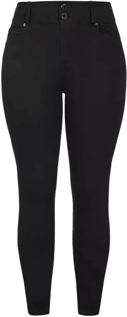 Plus Size Asha Regular High Rise Skinny Jean