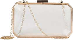 Haute Sauce Women's Clear Clutch Bag